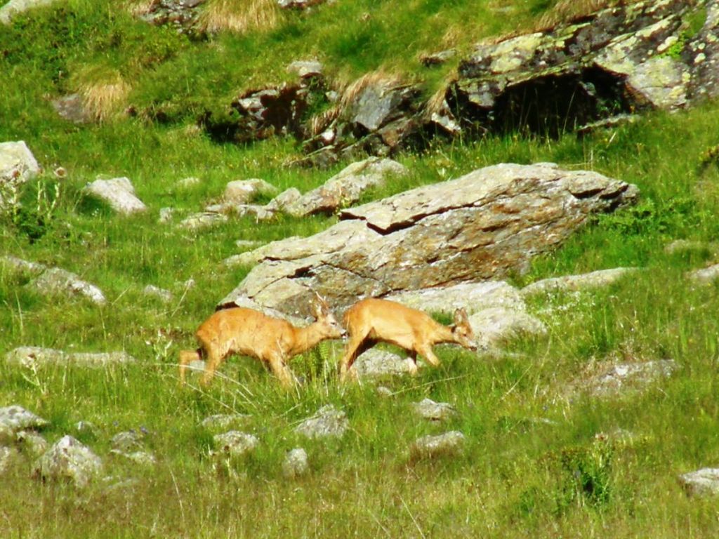 Itinerari per tutti (o quasi): Cima di Caione
